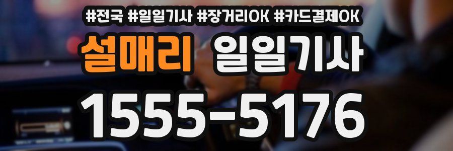 설매리 일일기사