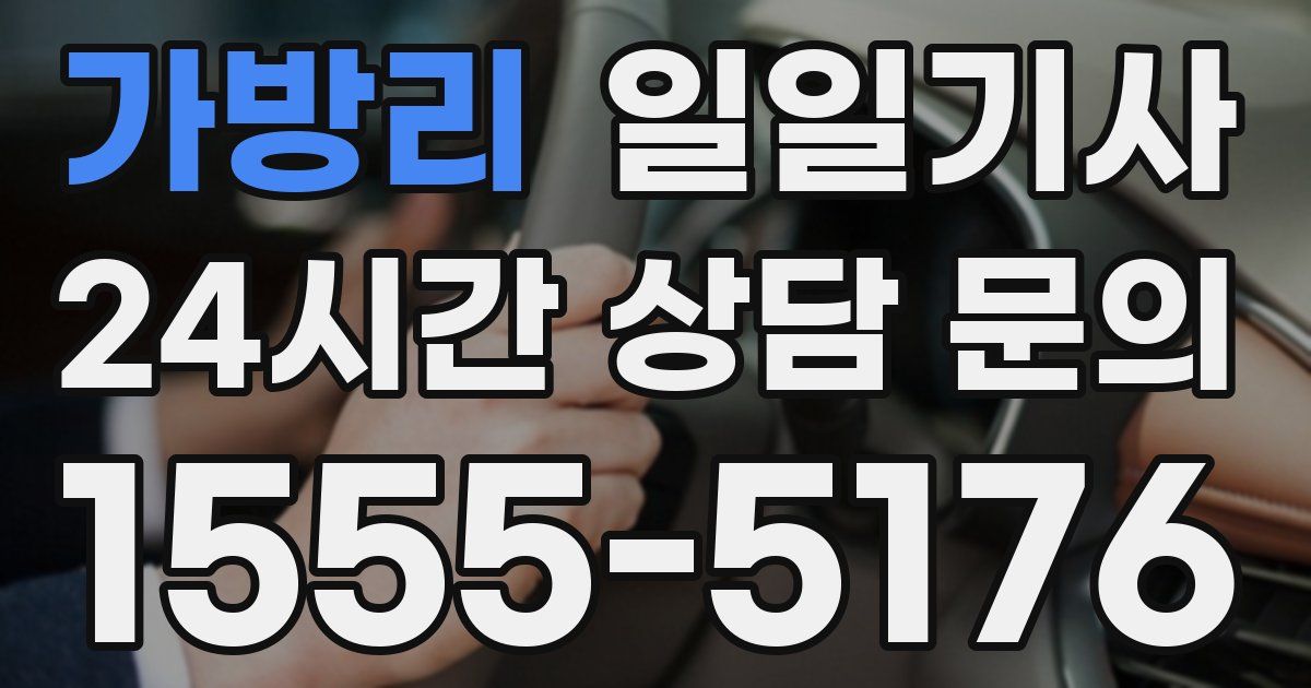 일일대리기사