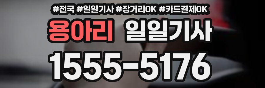 용아리 일일기사