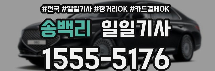 송백리 일일기사