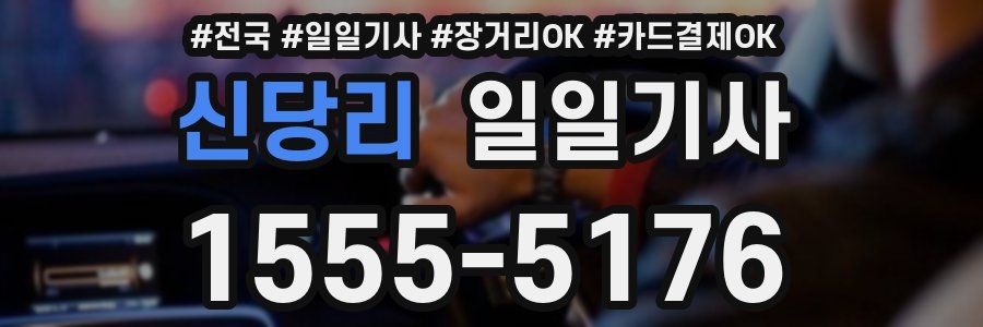 신당리 일일기사