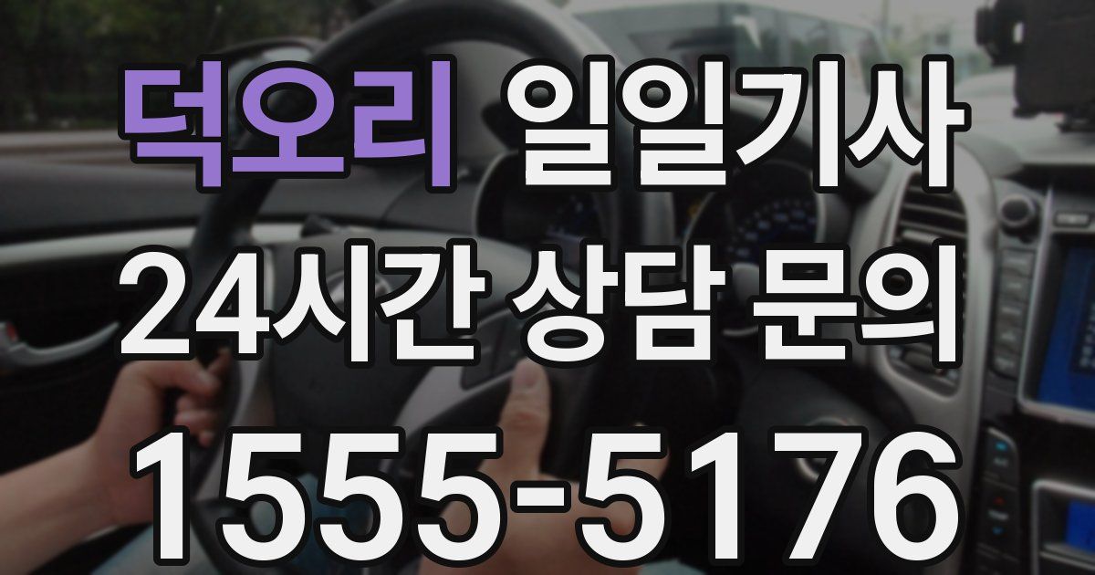 일일대리기사