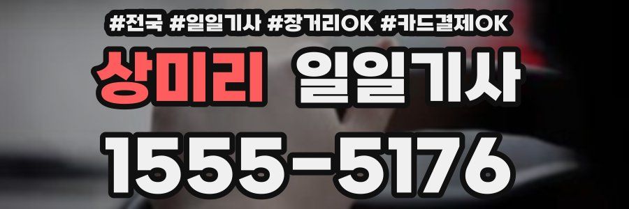 상미리 일일기사