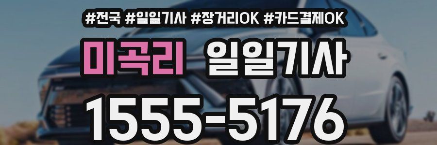 미곡리 일일기사