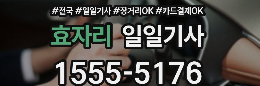 효자리 일일기사