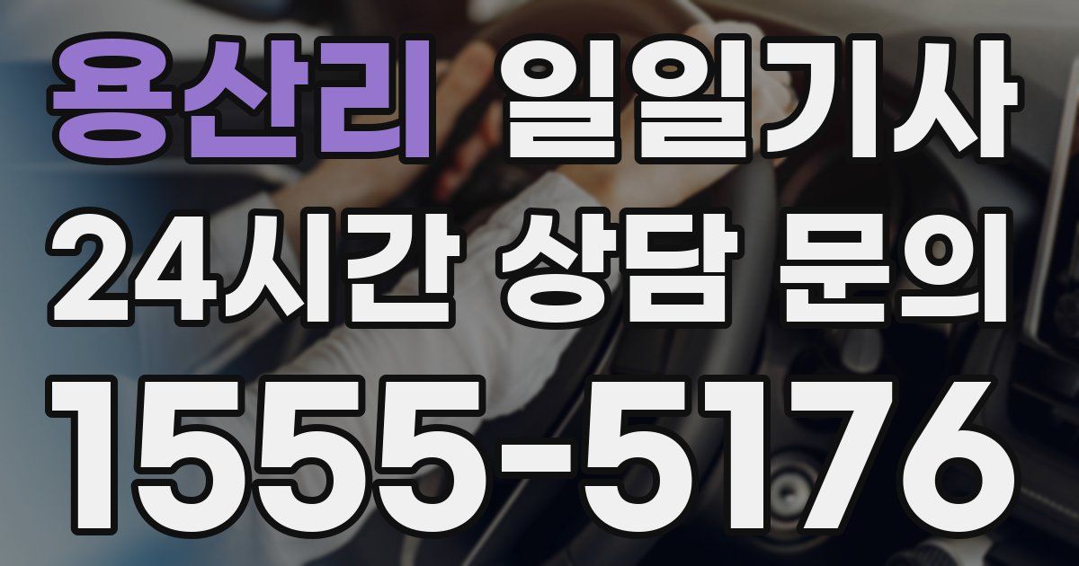 일일대리기사