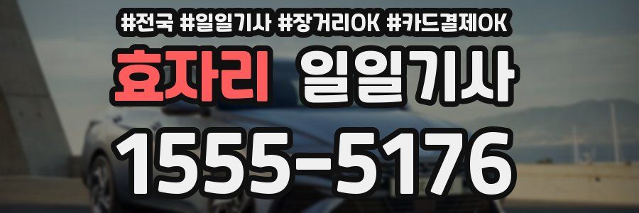 효자리 일일기사