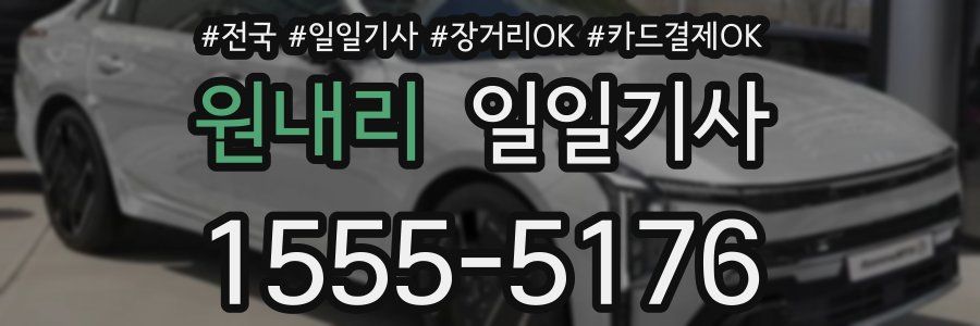 원내리 일일기사