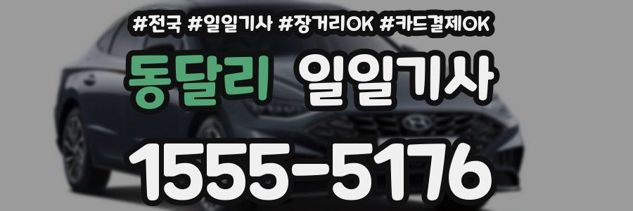 동달리 일일기사