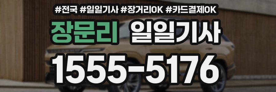 장문리 일일기사