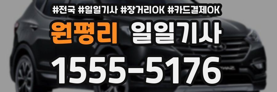 원평리 일일기사