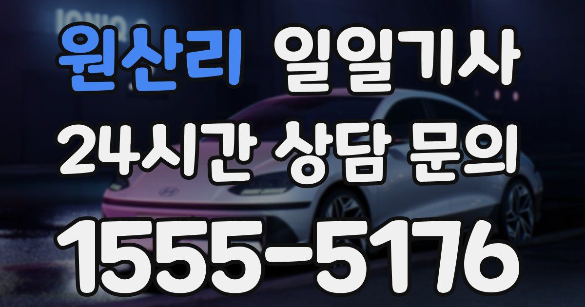 일일대리기사