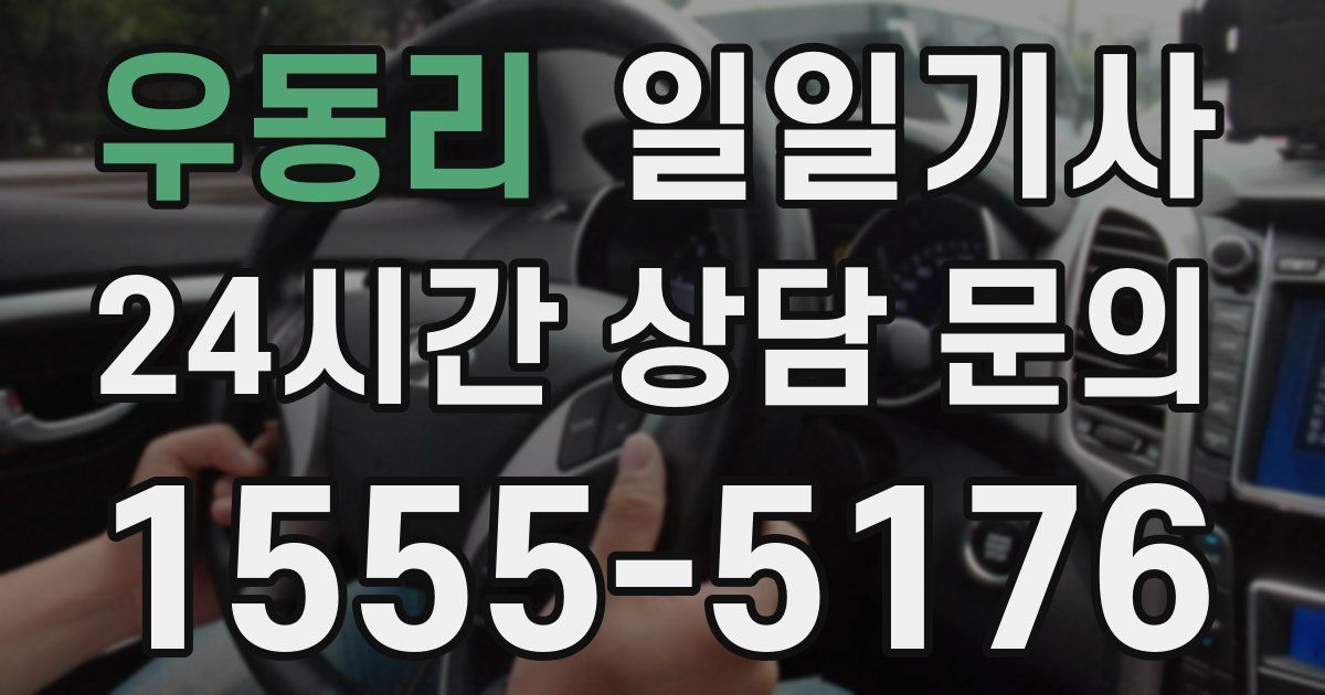 일일대리기사