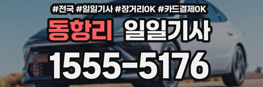 동항리 일일기사