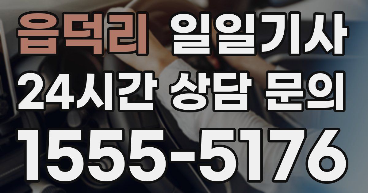 일일대리기사