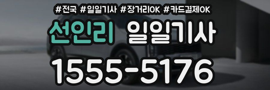 선인리 일일기사