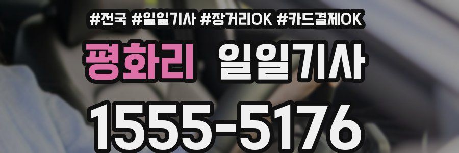 평화리 일일기사