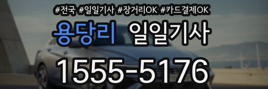 용당리 일일기사