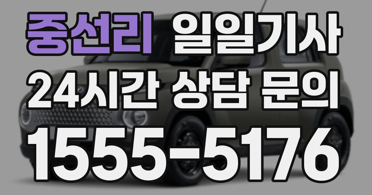 일일대리기사