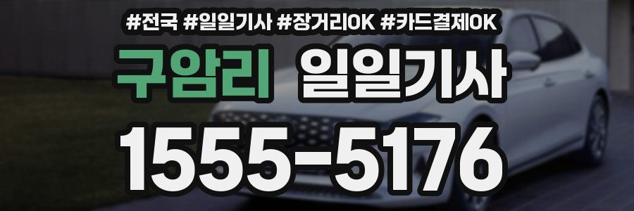 구암리 일일기사