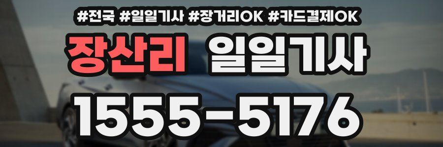 장산리 일일기사