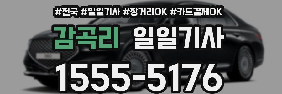 감곡리 일일기사