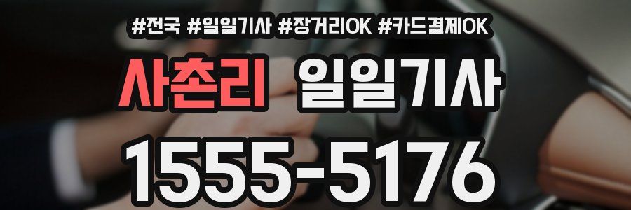 사촌리 일일기사