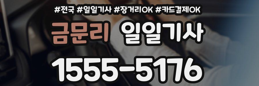 금문리 일일기사