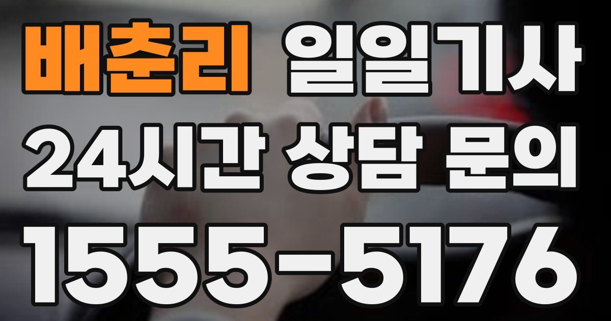 일일대리기사