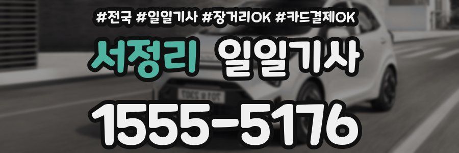 서정리 일일기사