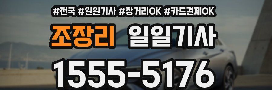 조장리 일일기사