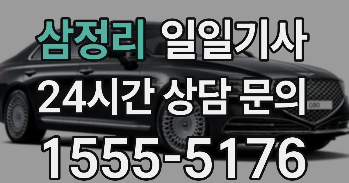 일일대리기사