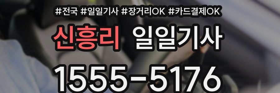 신흥리 일일기사