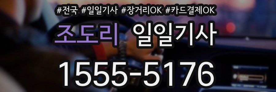 조도리 일일기사