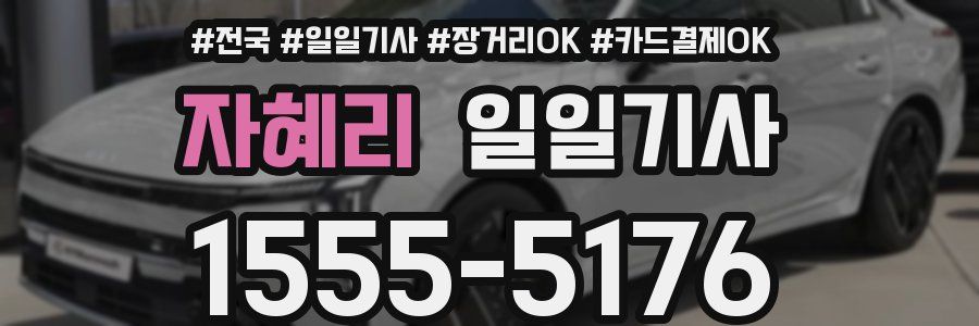 자혜리 일일기사