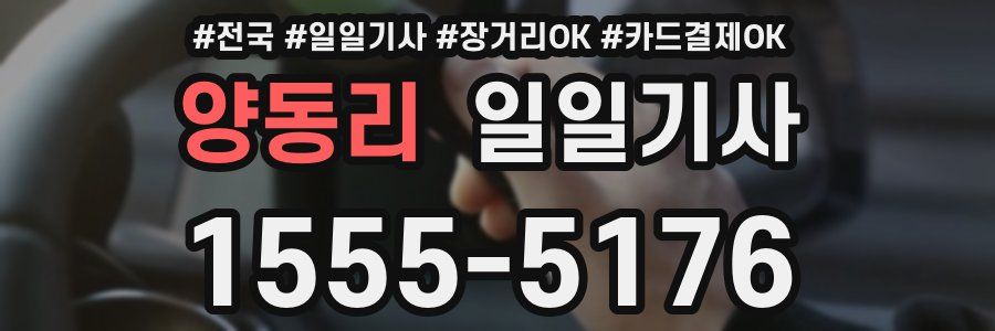 양동리 일일기사