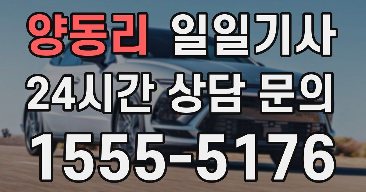 일일대리기사