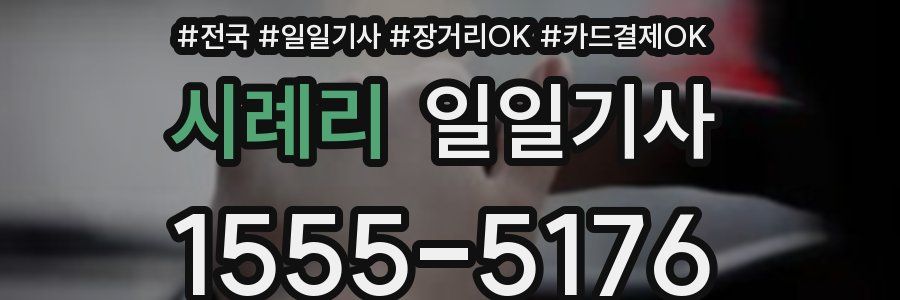 시례리 일일기사