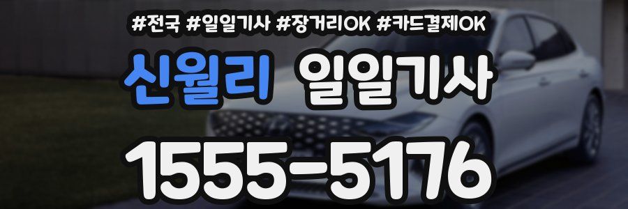 신월리 일일기사