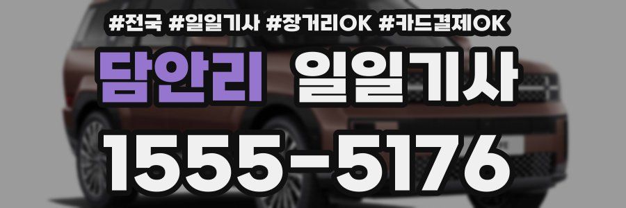 담안리 일일기사