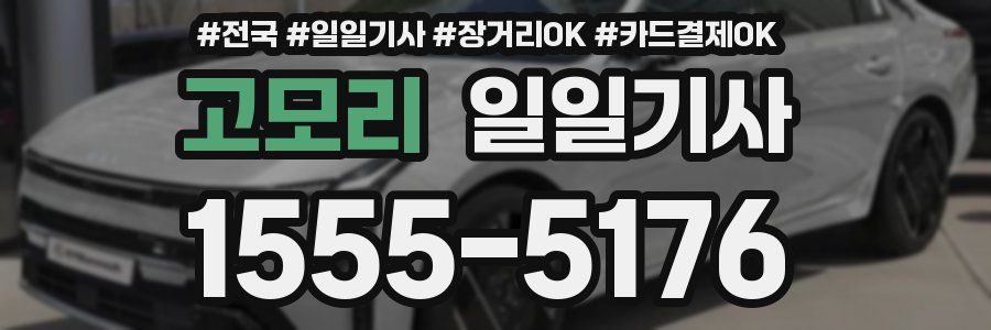 고모리 일일기사