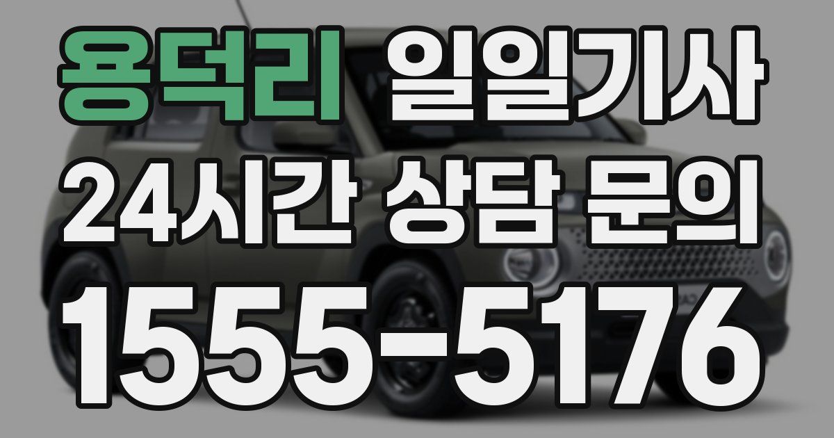 일일대리기사