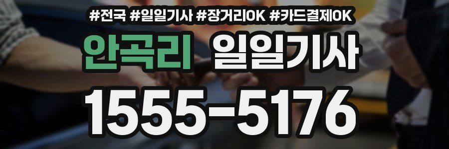 안곡리 일일기사