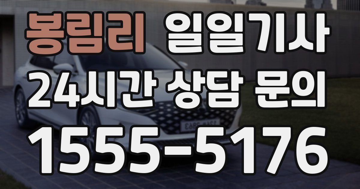 일일대리기사