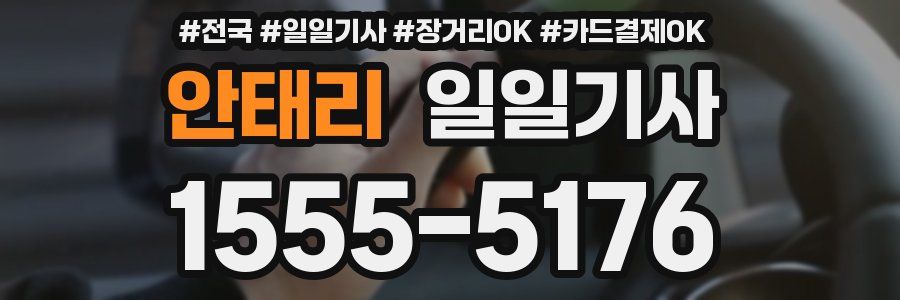 안태리 일일기사