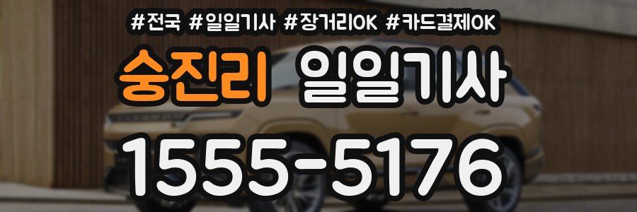 숭진리 일일기사