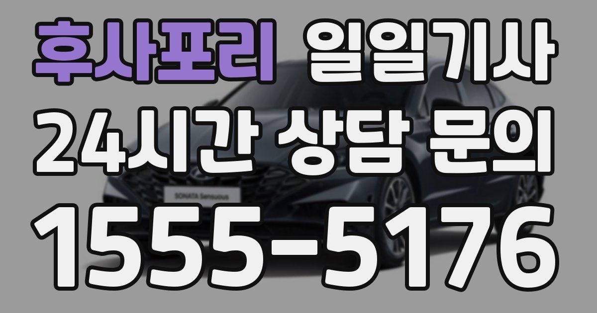 일일대리기사