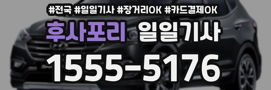 후사포리 일일기사