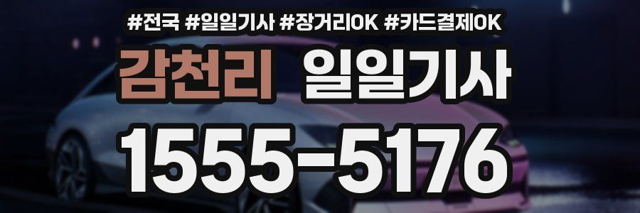 감천리 일일기사