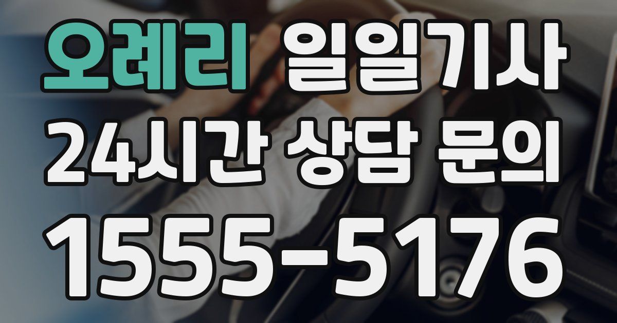 일일대리기사
